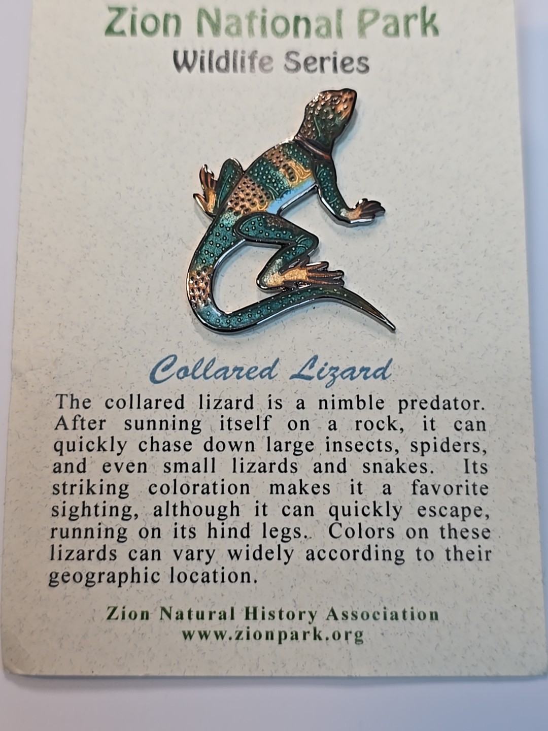 Collared Lizard Souvenir Lapel Pin Zion National Park Wildlife Series Utah