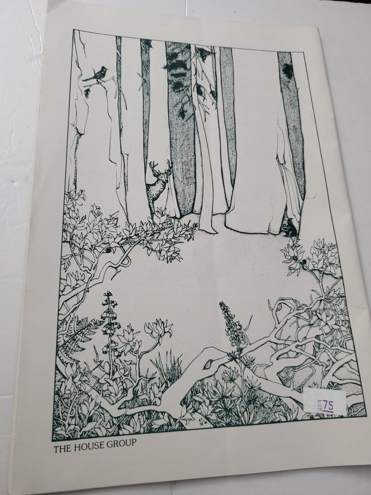 Congress Trail Sequoia National Park Pamphlet 1997 Revision