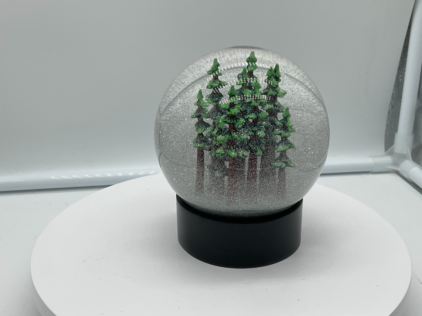 Redwood Forest California Fog Globe National Parks Conservancy Award Winner NIB