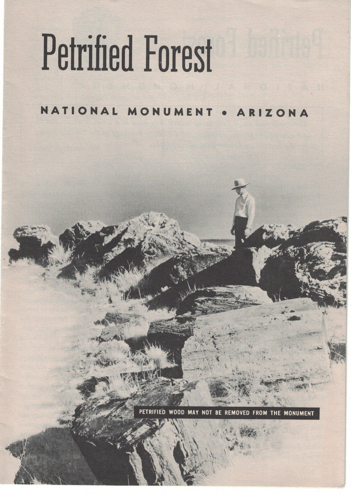 Saguaro National Monument Arizona 1956 Brochure