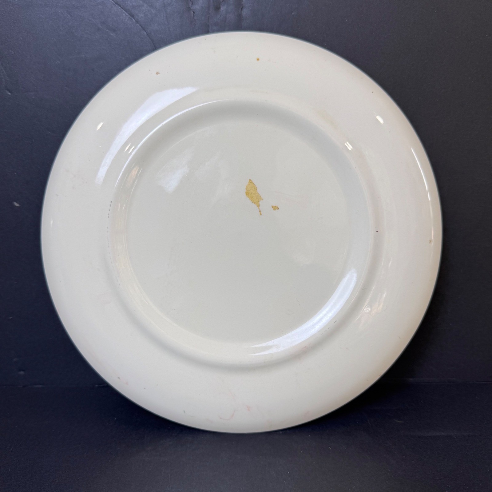 Vtg Yellowstone National Park Souvenir Plate Jacob Karol China Gold Rim 9.25″