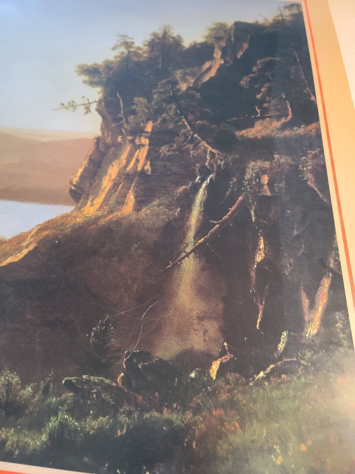 National Forests Conservation Poster US Forest Service 24×36