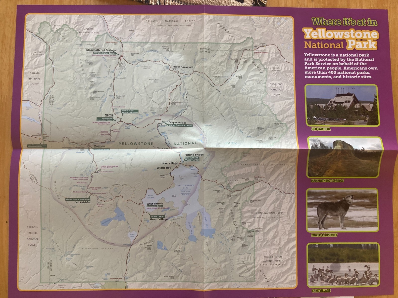 YELLOWSTONE NATIONAL PARK QUEST KIDS FUN BOOK EDUCATION MAP 18 ANIMAL CARDS ART