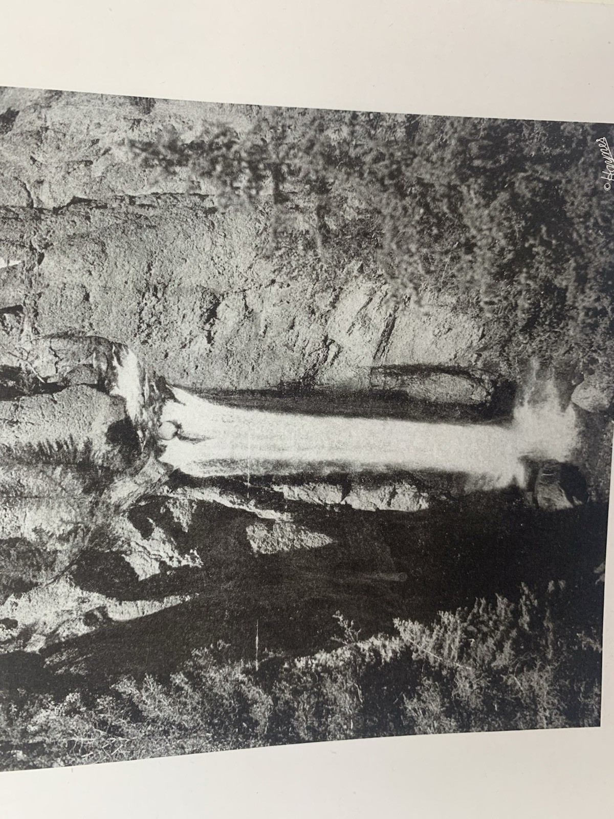 Haynes Souvenir Album of Yellowstone National Park 1940 Wyoming Illustrated