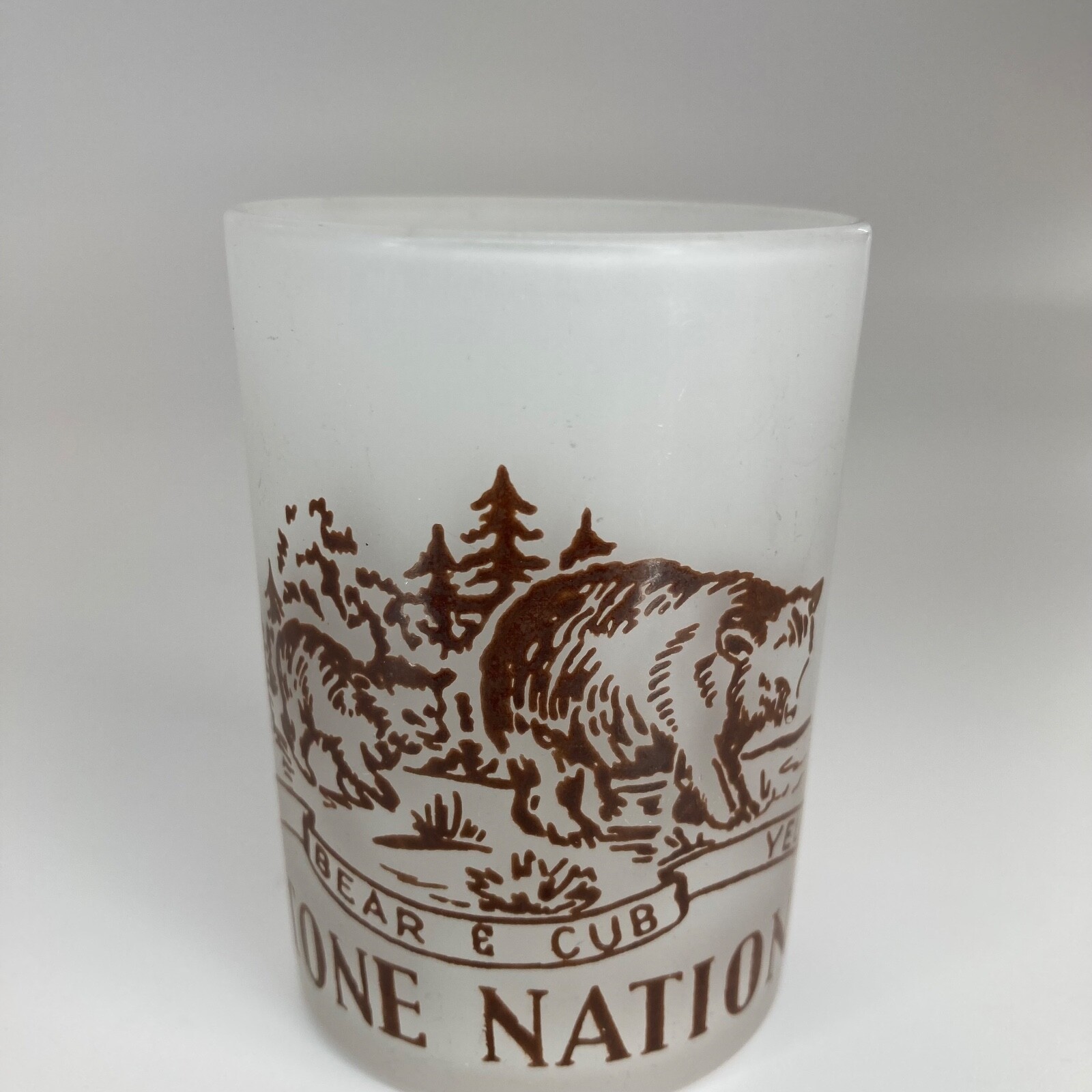 Yellowstone Souvenir Frosted Glass Toothpick Holder Old Faithful National Park