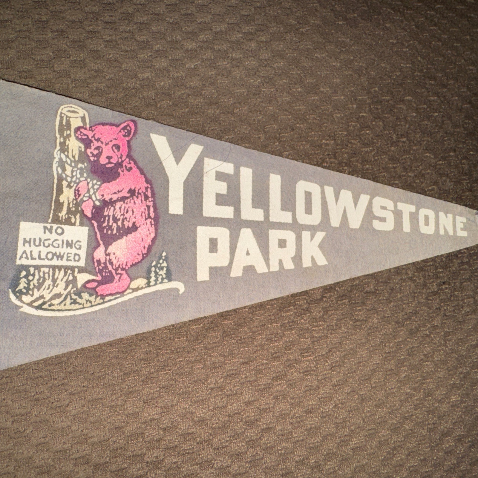 1940s 14” YellowStone National Park Pennant Vintage Souvenir Bear