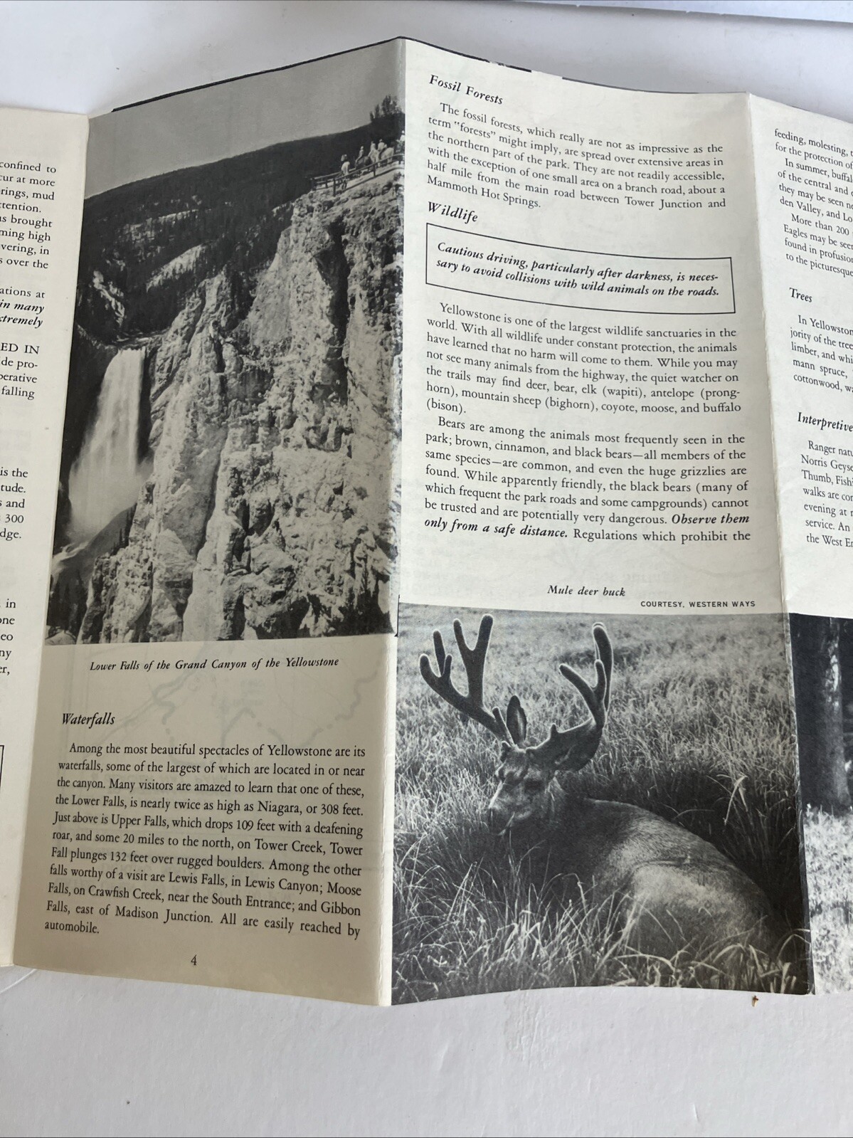 1955 Yellowstone National Park Inside Map Wyoming Montana Idaho Tourist Guide
