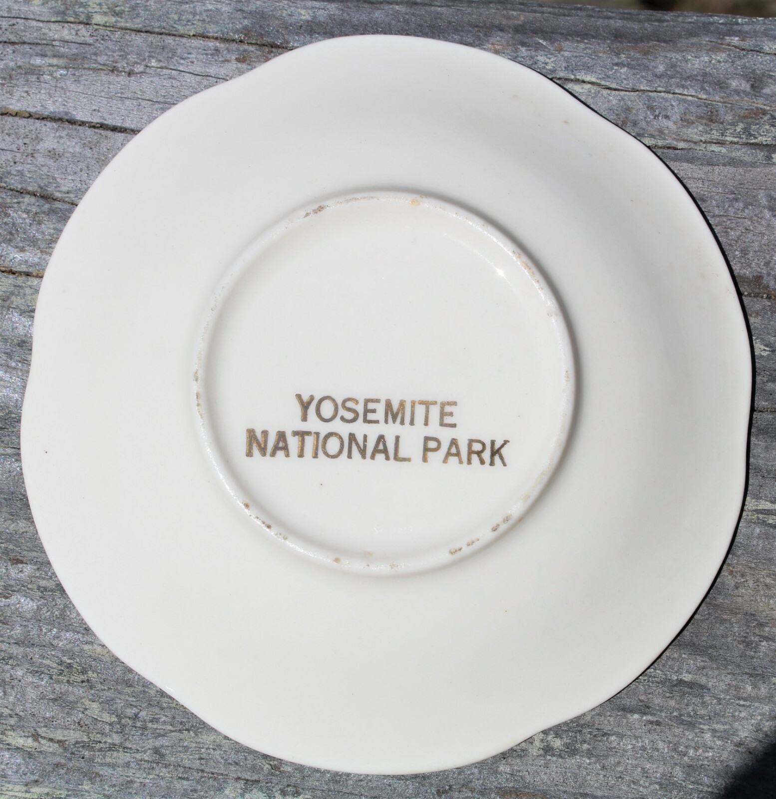 Yosemite Vinatge Souvenir Mini Cup and Saucer- Half Dome 1960’s