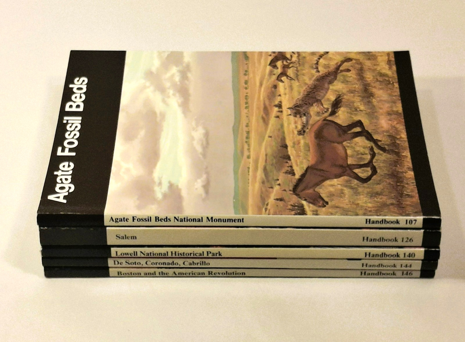 Lot 5 Vintage NPS National Park Handbooks Agate Salem Lowell Boston 1980-98