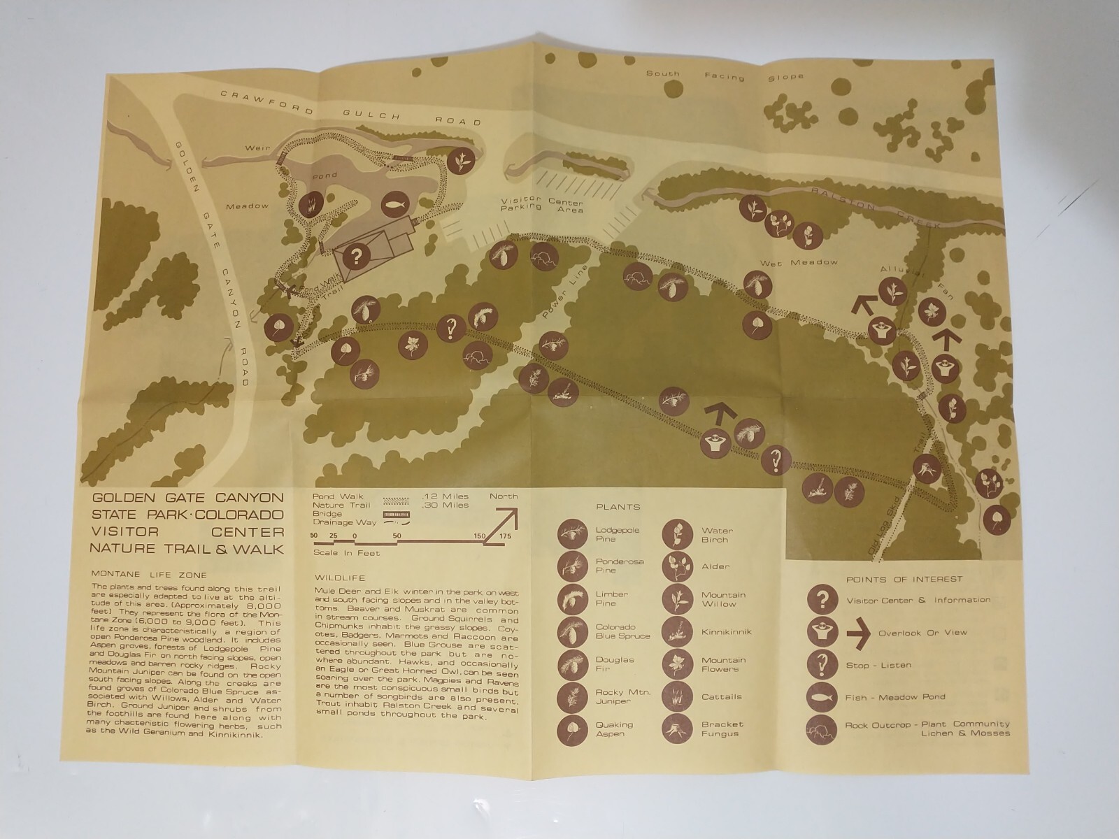 VTG Golden Gate Canyon State Park Trail Map Colorado Topographical Fold Out 70s