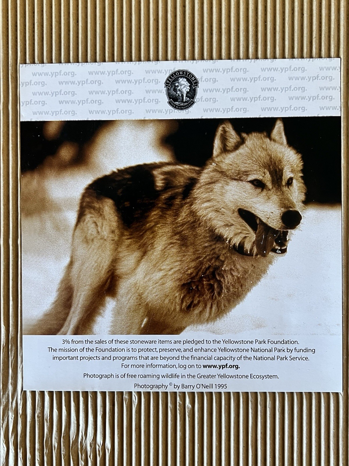 Yellowstone Wolf Plate Rose Creek Alpha Male #10 Barry O’Neill 13.5” w/ Box