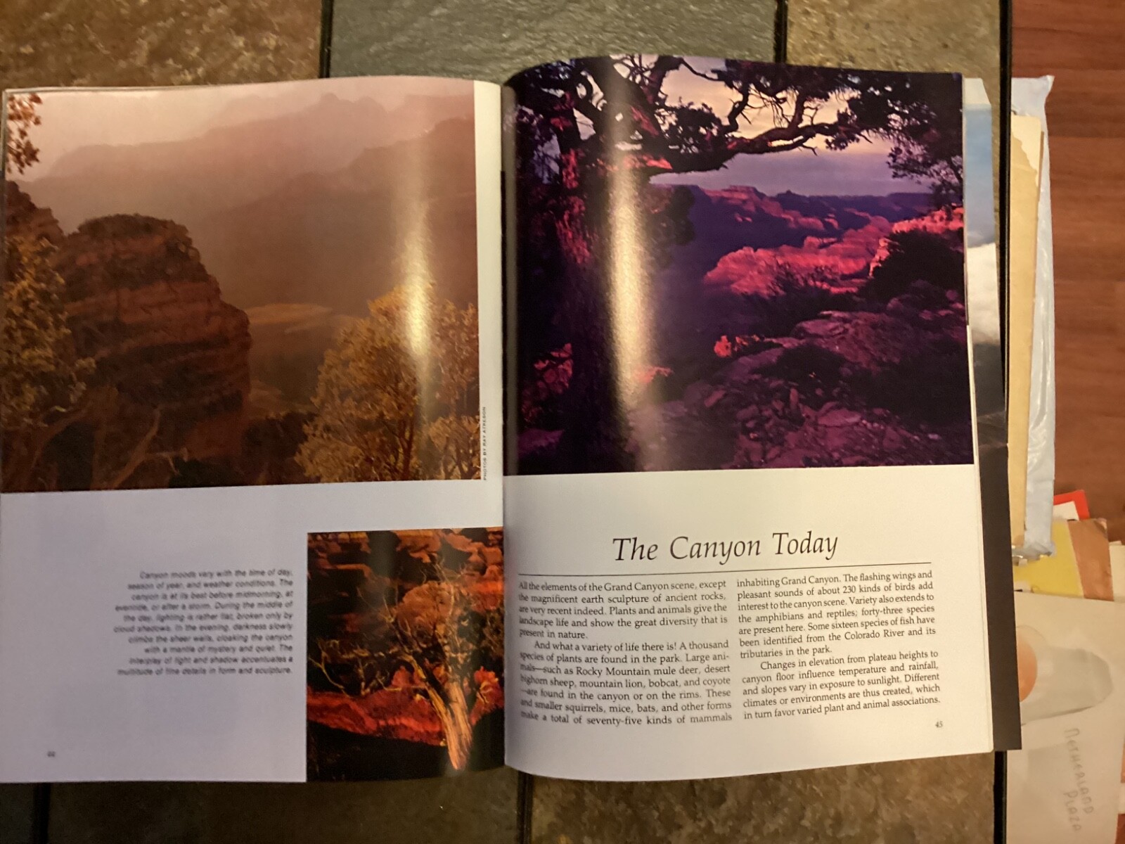1983 Grand Canyon, “The Story Behind the Scenery”