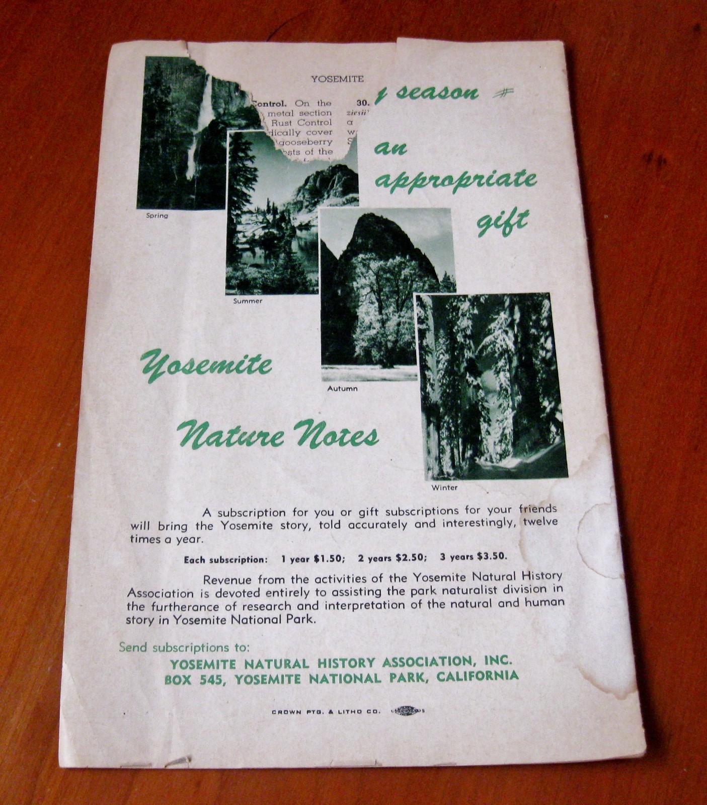 1950s Inspiration Point Yosemite National Park Wild Flowers of the Sierra USA