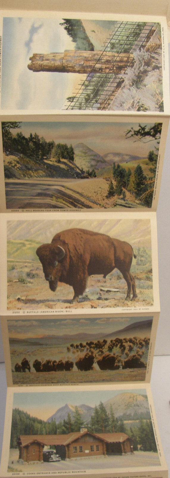 VINTAGE c1937 HAYNES SOUVENIR FOLDER POSTCARD YELLOWSTONE PARK SERIES A B C D