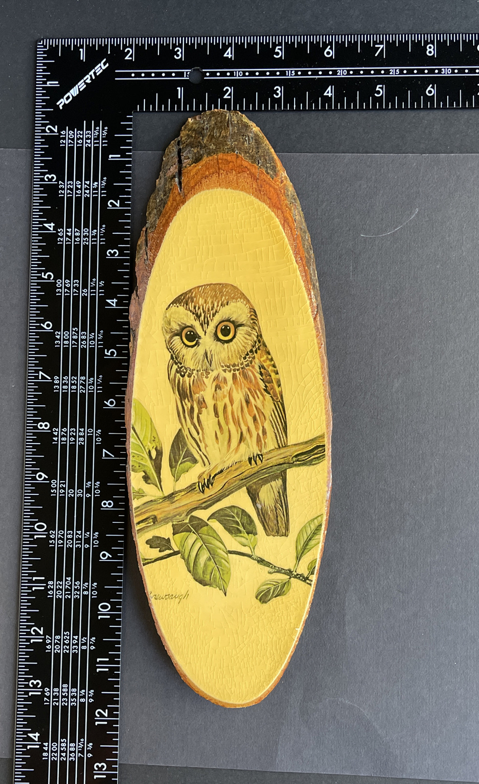 Wall Plaque Wood Slab “Owl” Souvenir Natural Wild Life “Missouri” Home Decor