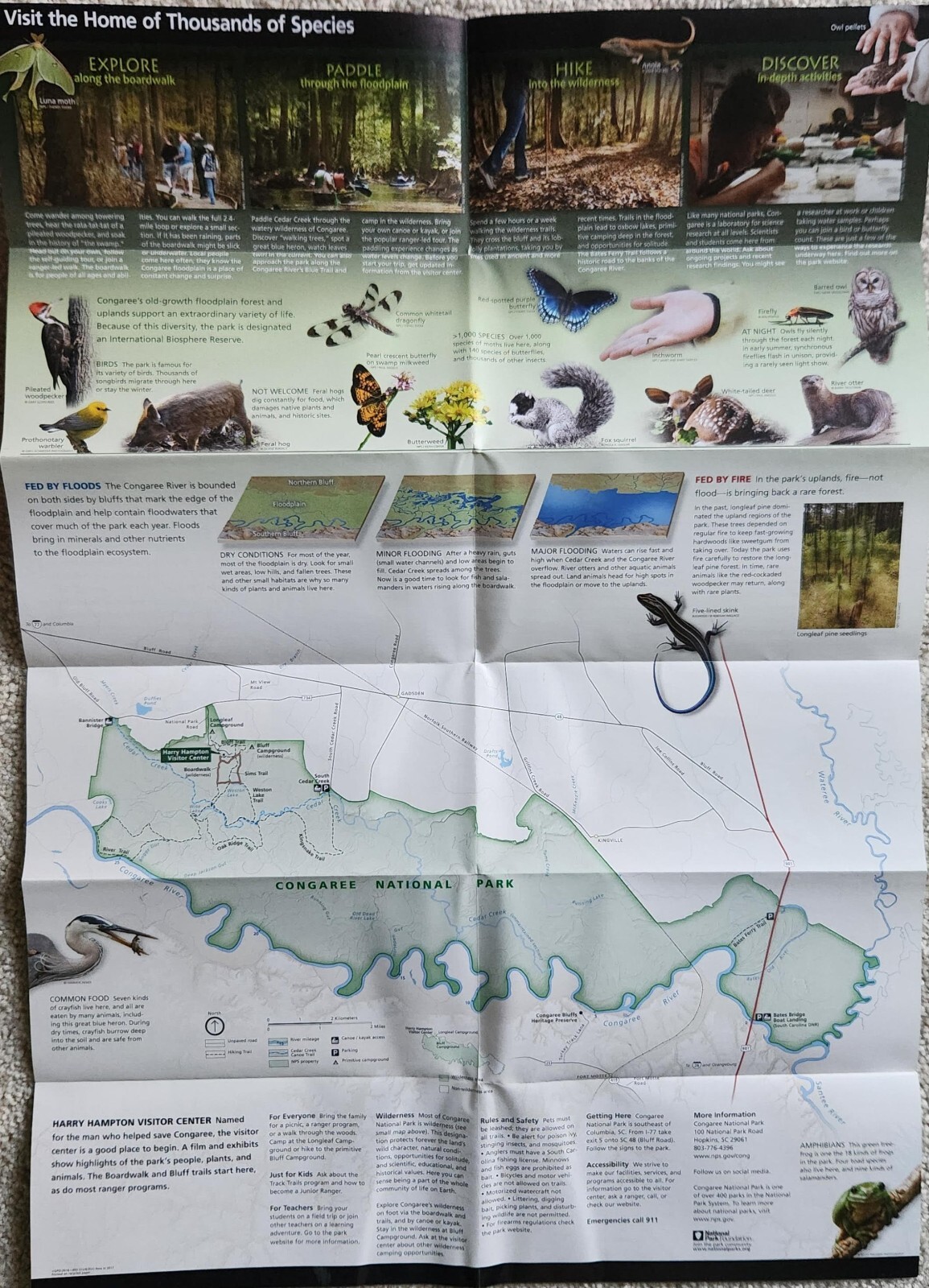 Congaree National Park Brochure