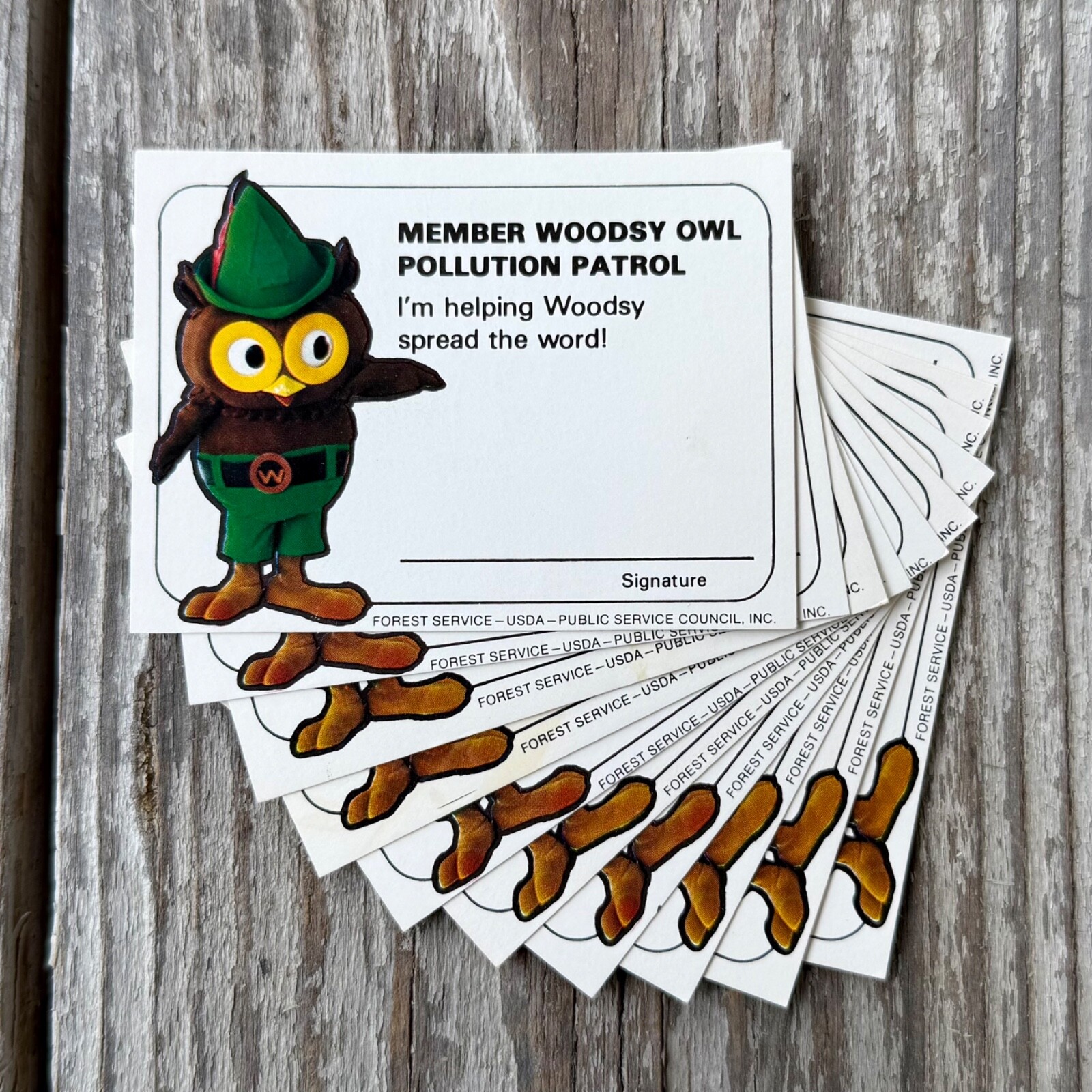 10 Original 1970s WOODSY OWL MEMBERSHIP CARD Pollution Control SPREAD WORD Lot