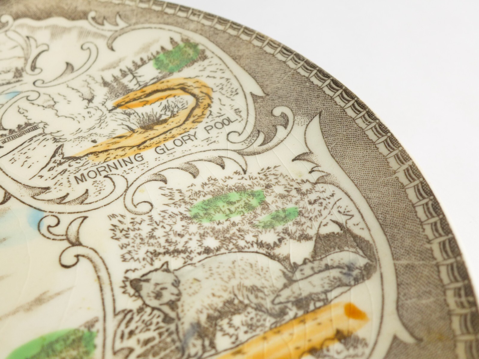 YELLOWSTONE NATIONAL PARK Souvenir Scenic Plate Old Faithful Hand Tinted 8.5 in