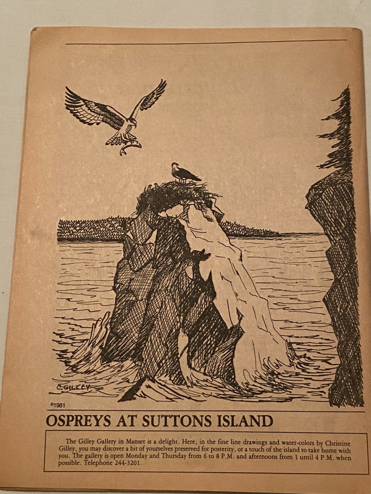 August 1981 Acadia National Park The Islander Magazine August