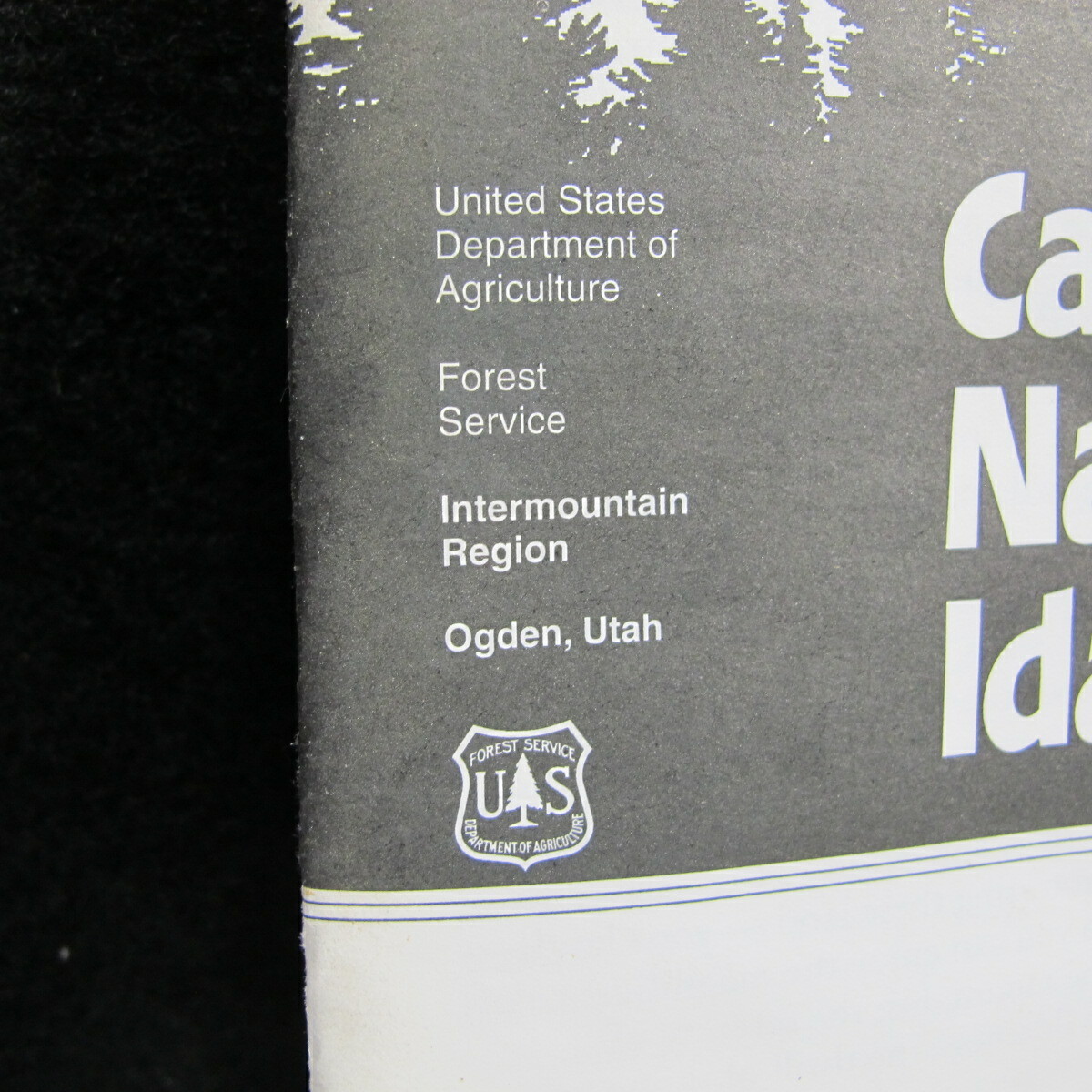 US Forest Service Camping Picnicking National Forests Idaho Wyoming VERY RARE !