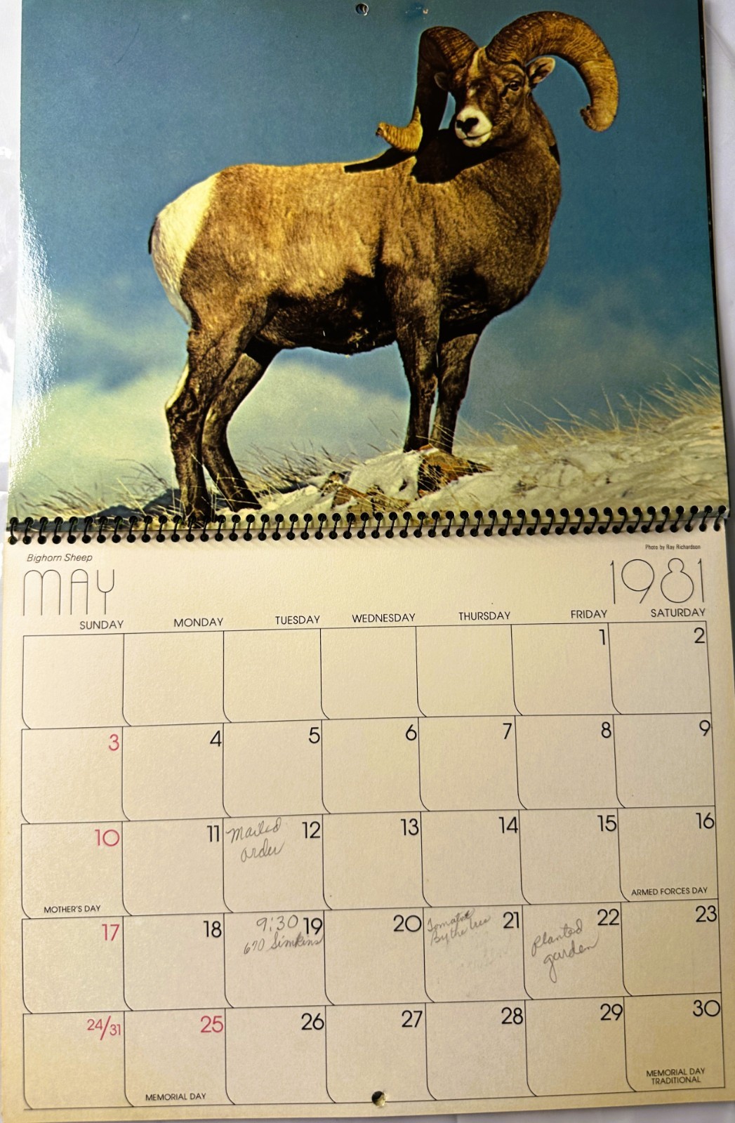 1981 Yellowstone & Grand Teton National Parks Wyoming Color Calendar Spiral Hang
