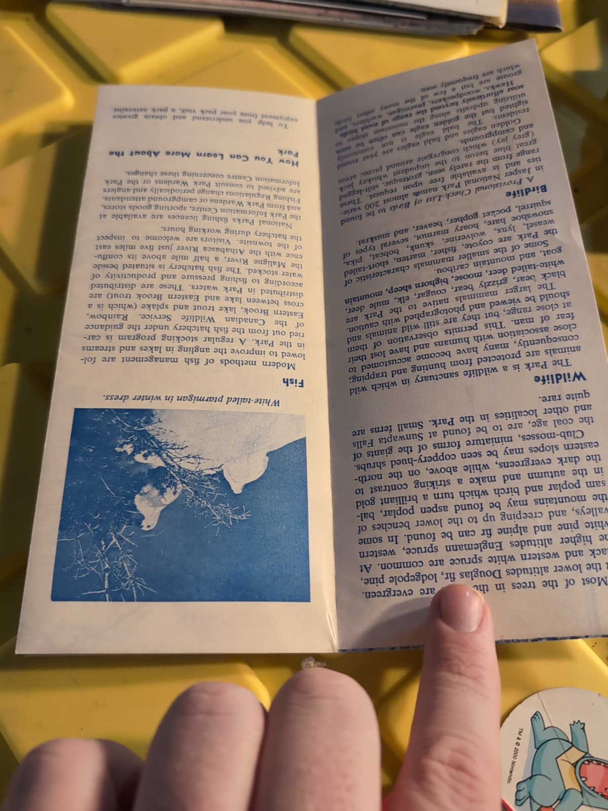 1964 Jasper National Park Vintage Brochure – Alberta Canada