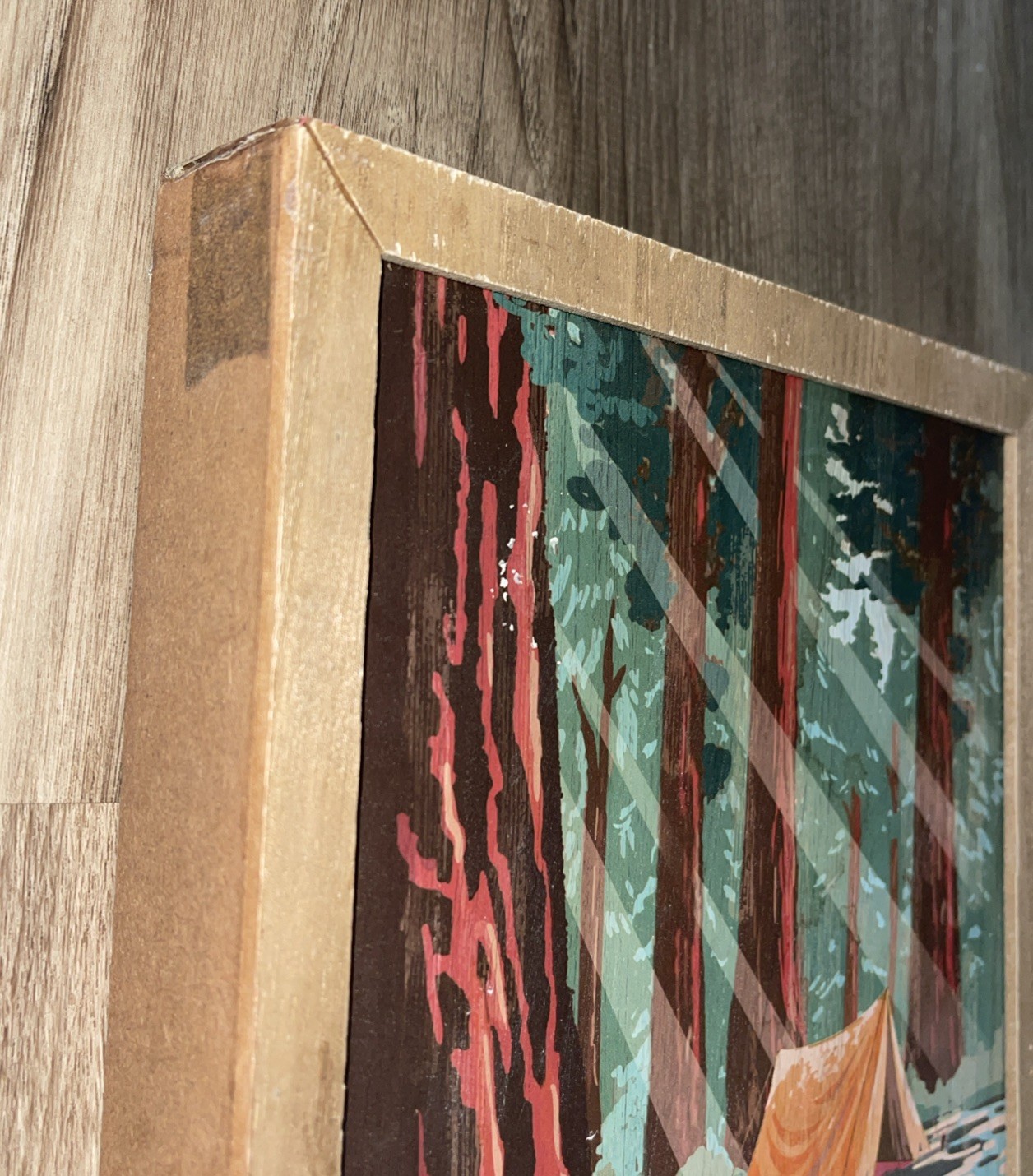 NATIONAL PARKS WALL ART – Sequoia NATIONAL PARK used