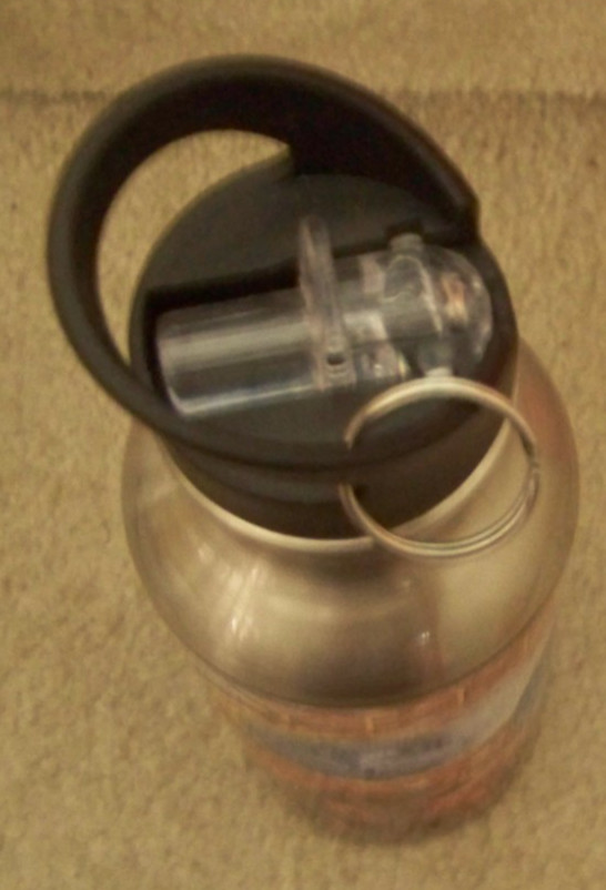 Yellowstone National Park aluminum metal travel bottle Old Faithful bears buffs