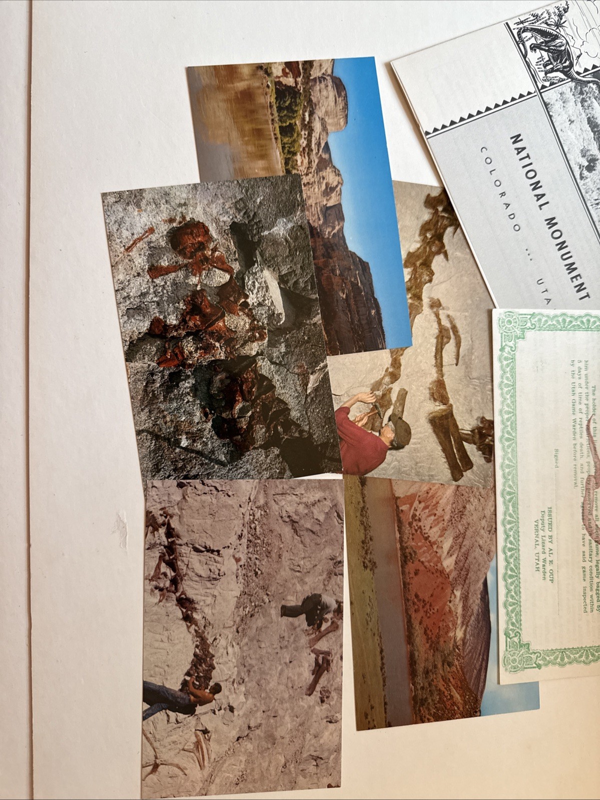 Vintage 1955 Dinosaur National Monument Postcards Brochure Map License Lot
