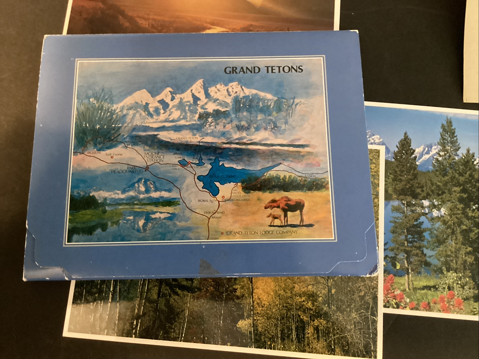 Vintage 1976 National Park Service Grand Tetons Tourist Brochure 1984 Post Cards