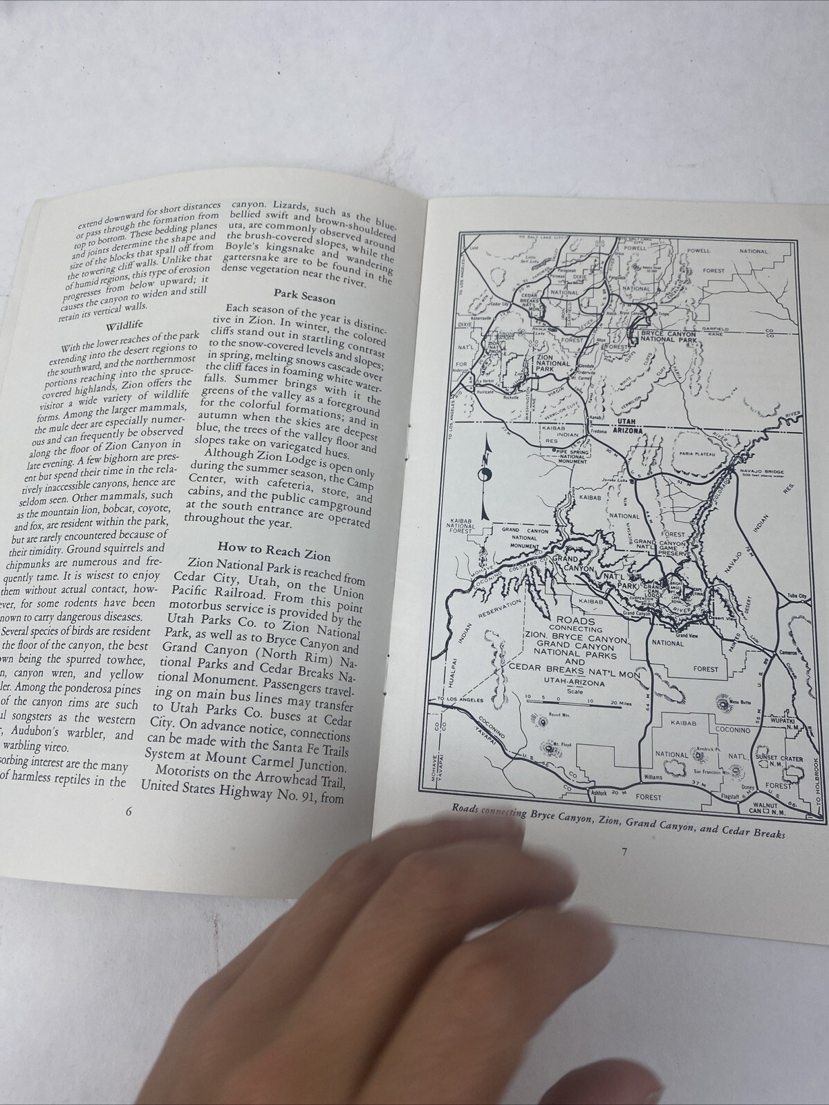 1952 Vintage Zion National Park Utah Booklet Visitor’s Guide