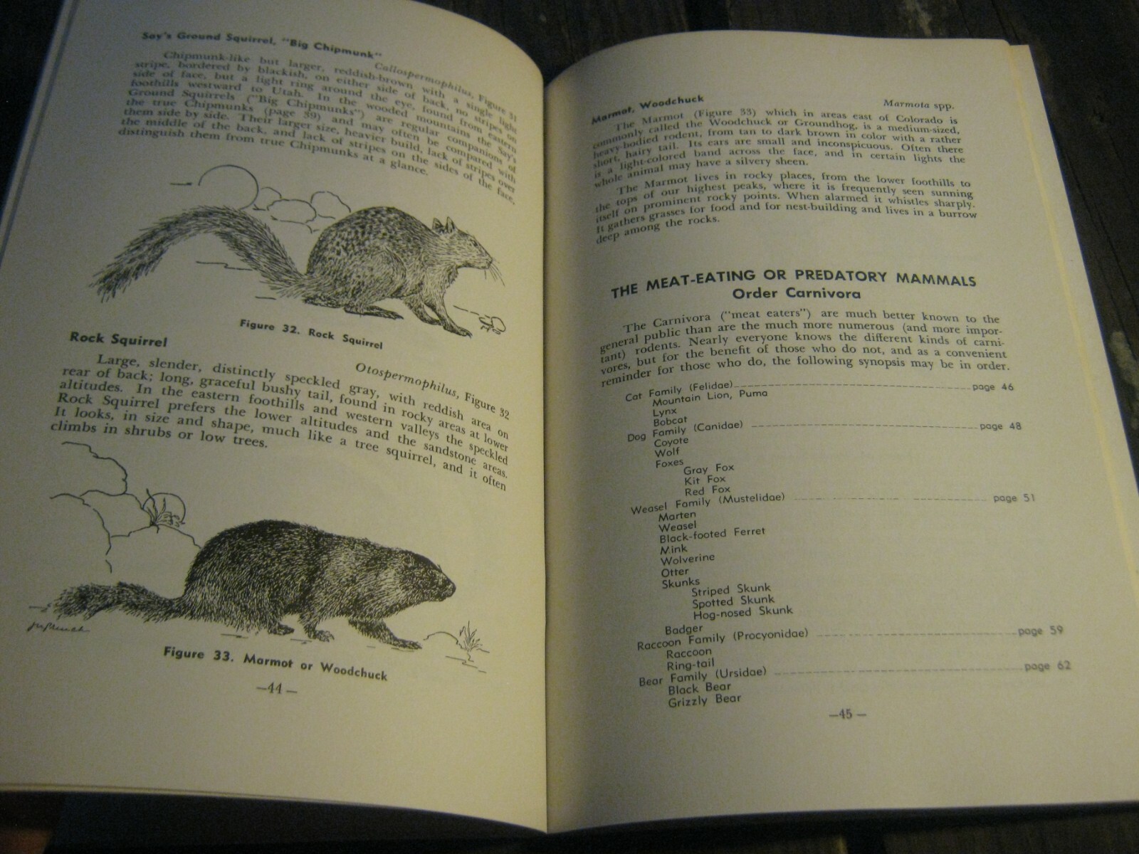 1967 Guide To The Mammals Of Colorado book by Hugo G. Rodeck