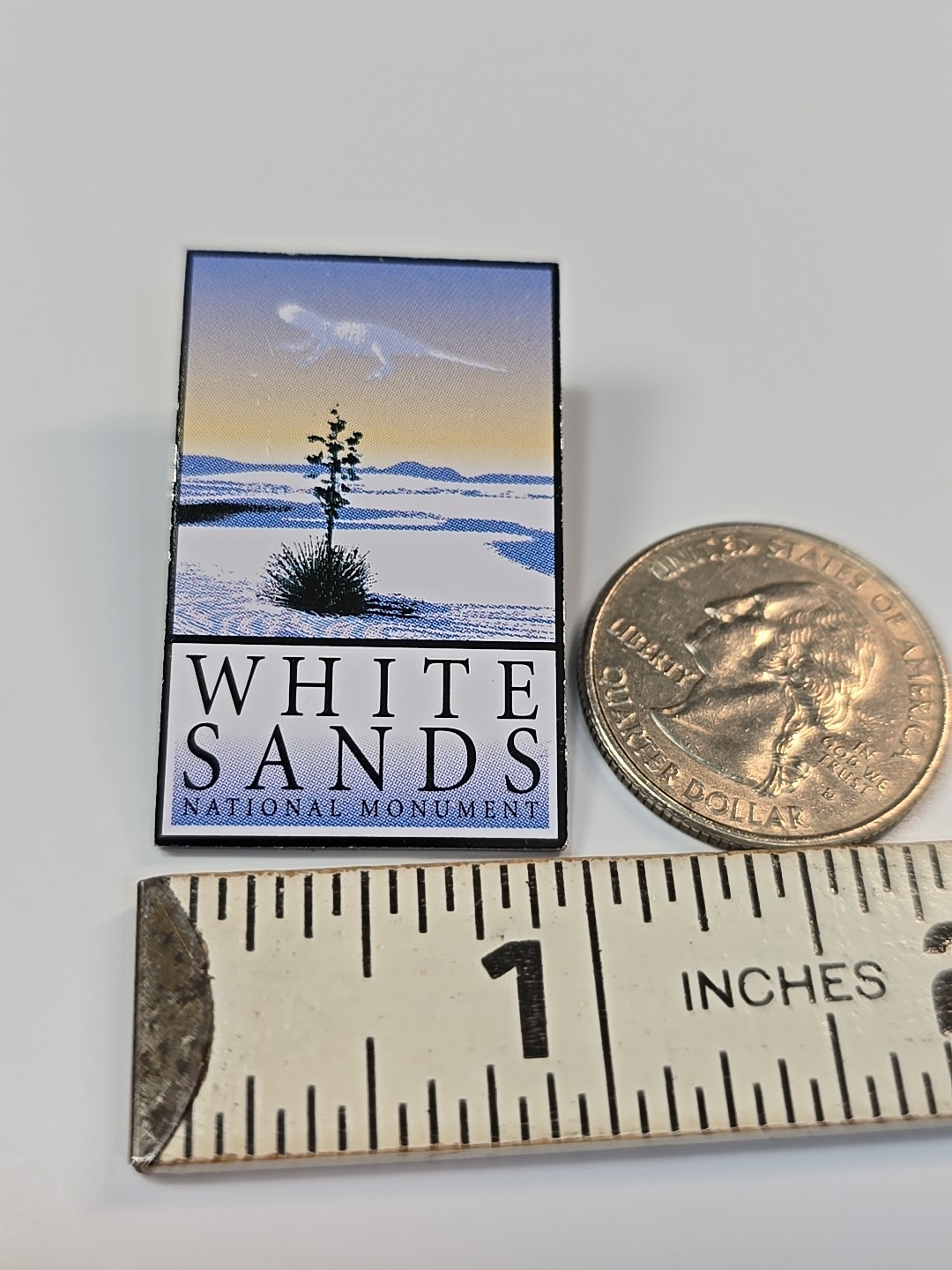 White Sands National Monument Travel Souvenir Lapel Pin New Mexico