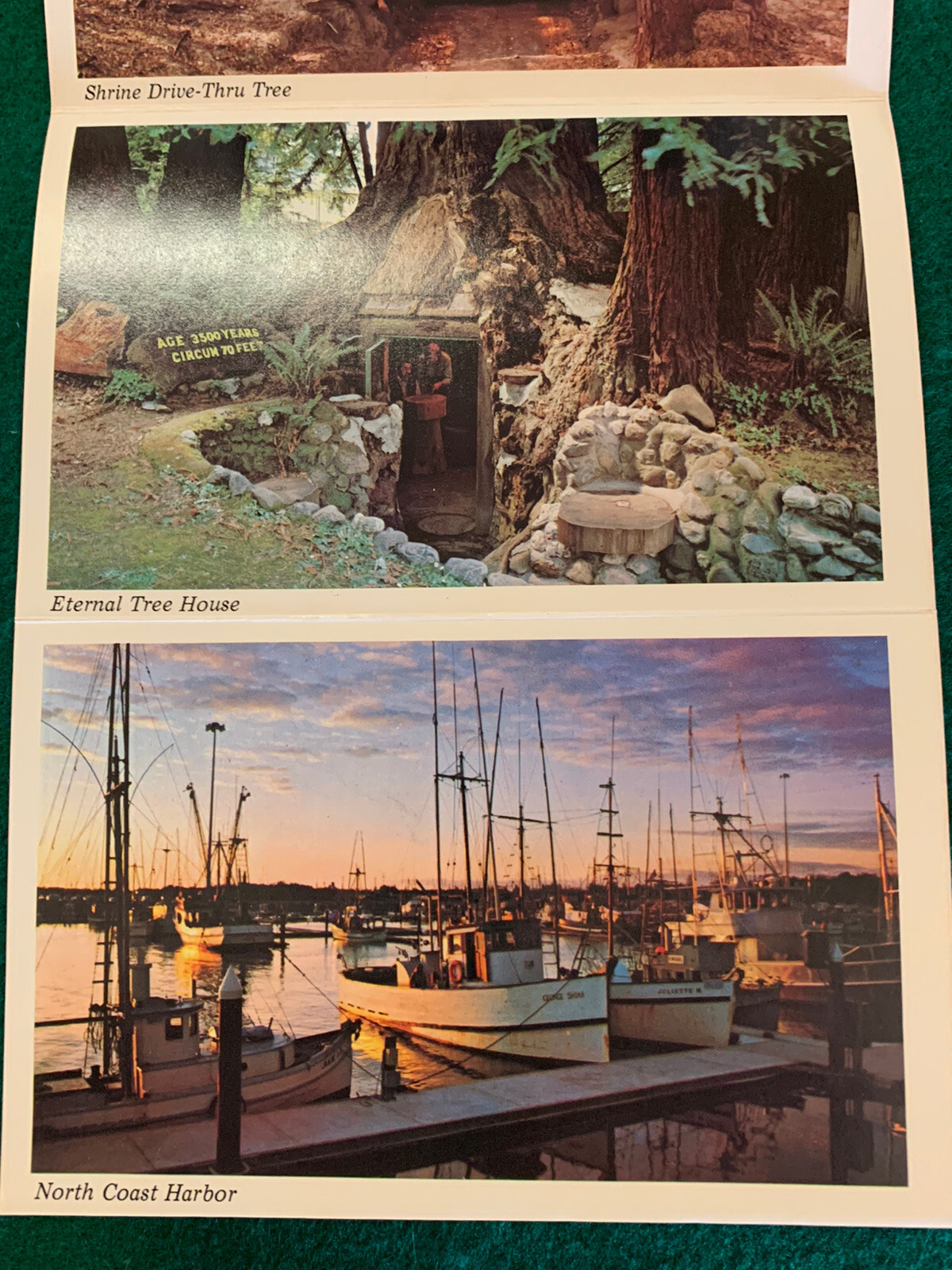 Vintage 1977 The Redwoods and Californias North Coast