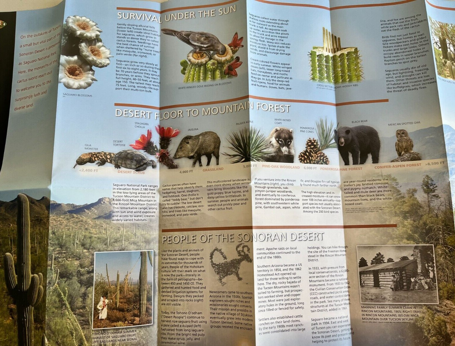 2026 SAGUARO NP – Arizona NATIONAL PARK SERVICE UNIGRID BROCHURE/MAP New