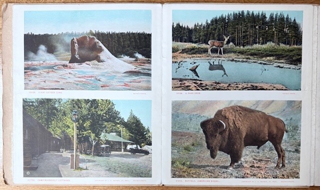 Gems of Yellowstone National Park 24 6 x 3.5″ Photos 1923 SC