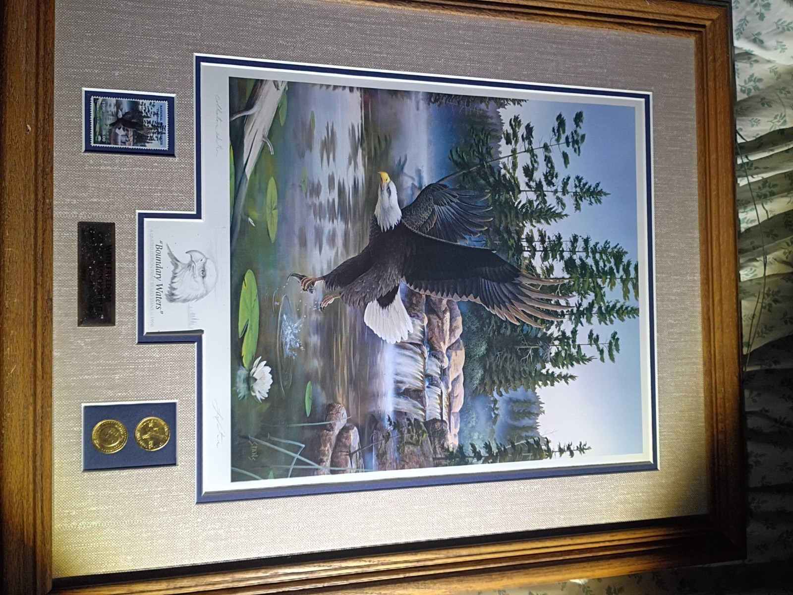 Desert Storm National Parks Bald Eagle Boundary Waters Leo Stans 1990 Framed