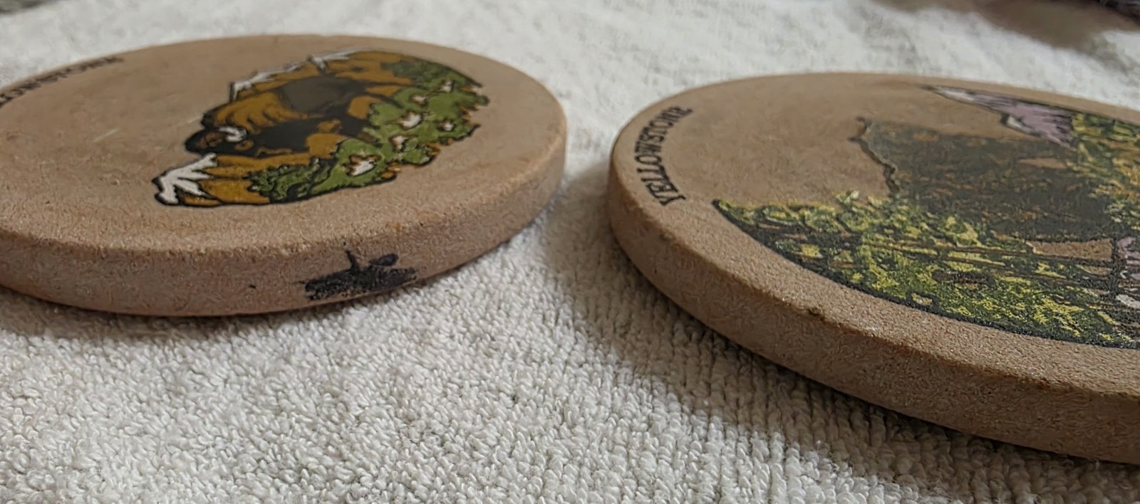 Set Of 2 Round Yellowstone National Park Bear & Bison Sandstone Coasters 4″