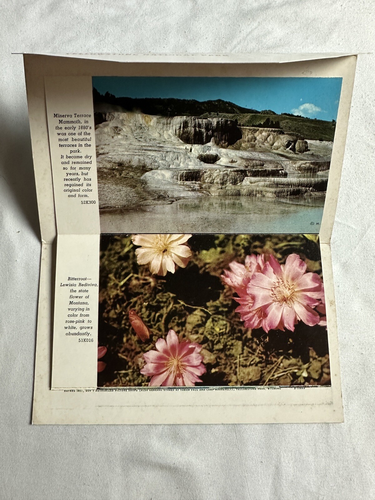1957 Yellowstone National Park Picturamic Color Photographs With Bio Very Cool