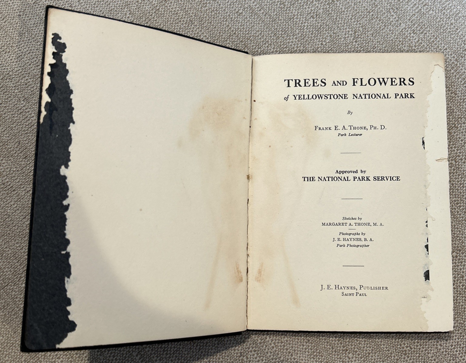Antique Haynes Guide to Trees And Flowers: Yellowstone National Park 1923-Rare!