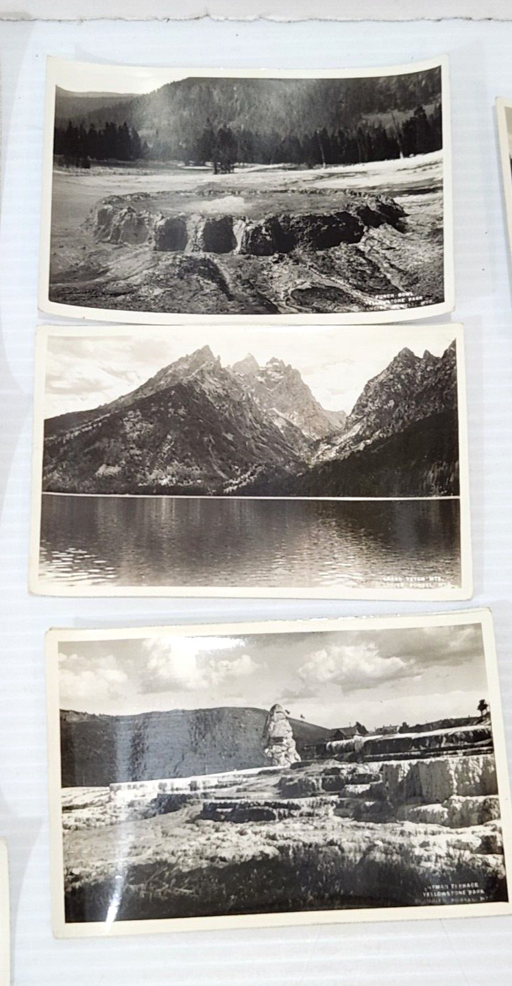 Lot of 28 Vintage Souvenir Yellowstone Park Black and White Photos 4″x6″