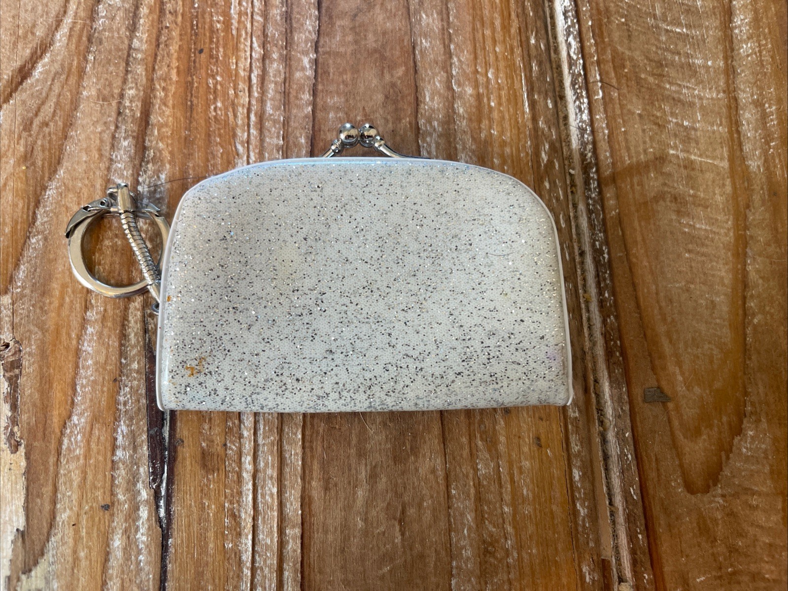 Vintage Yellowstone Park Money Coin Holder Purse Keychain Souvenir Silver Glitte