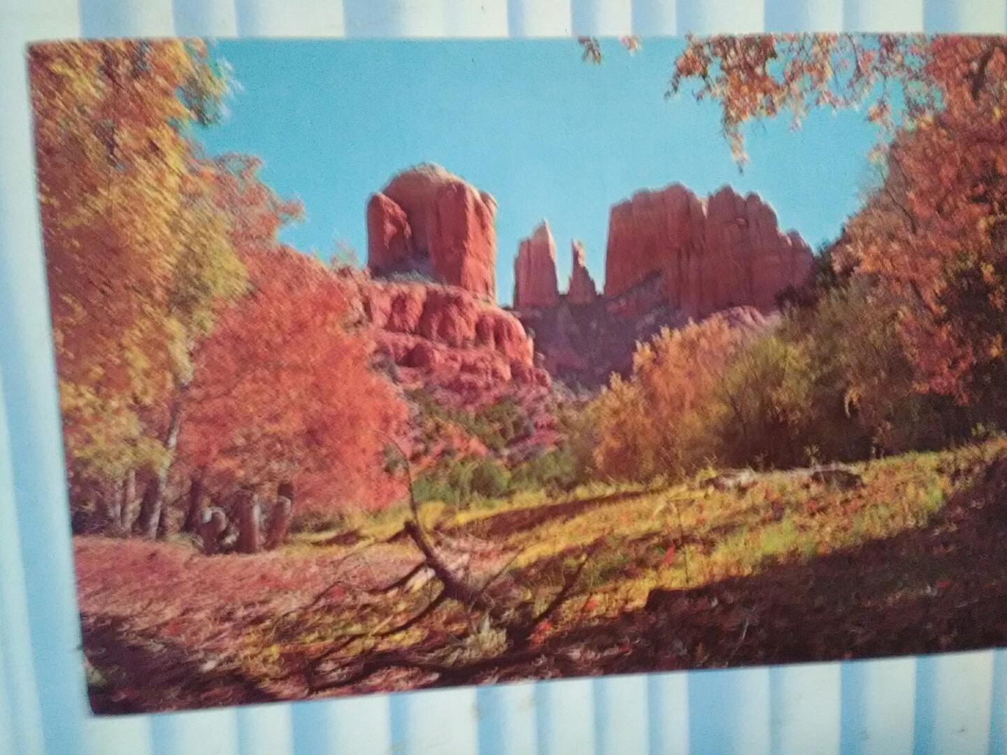 vintage POST CARD COURTHOUSE ROCK OAK CREEK CANYON ARIZONA