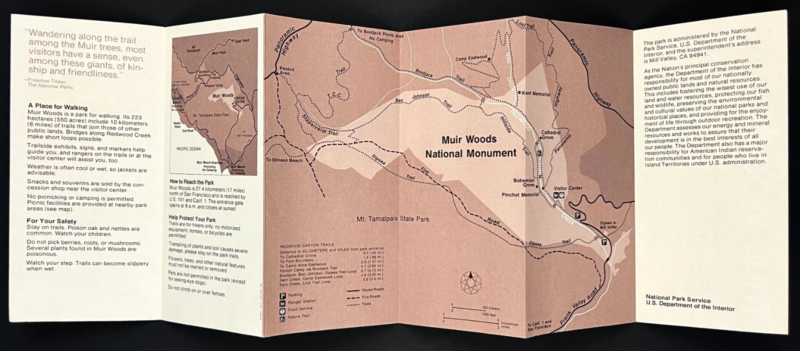 1977 Muir Woods National Monument California Park Guide Vintage Travel Brochure