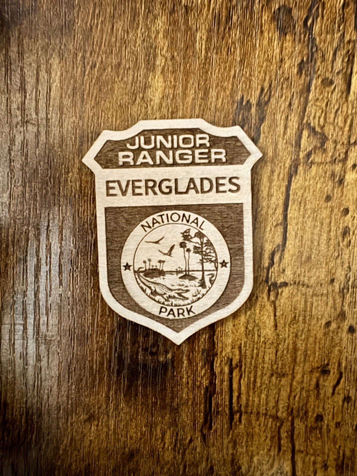 All National Park Service Junior Ranger Badges – Sold Individually