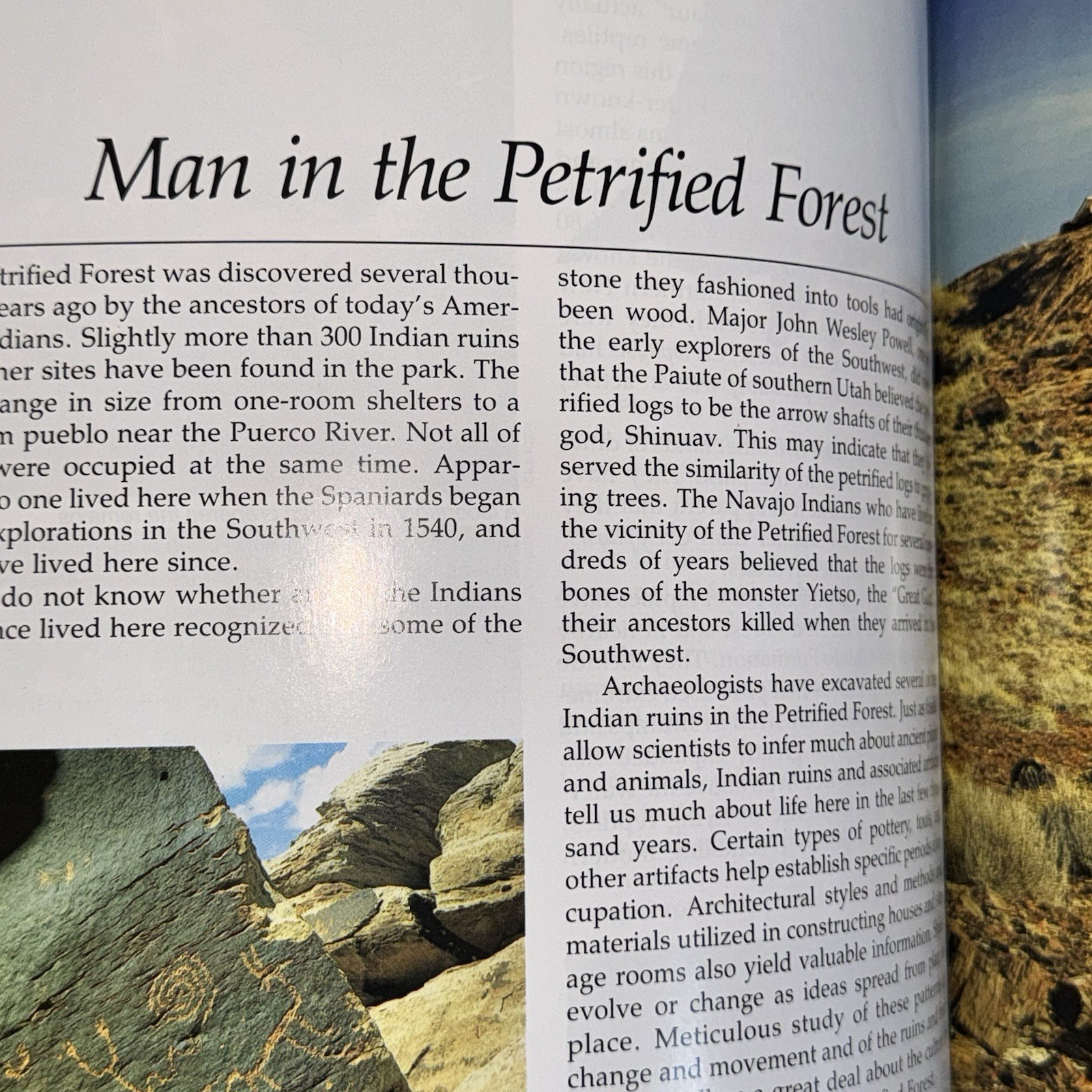 4 National Park Books – Mesa Verde, Arches, Petrified Forest, Natural Bridges
