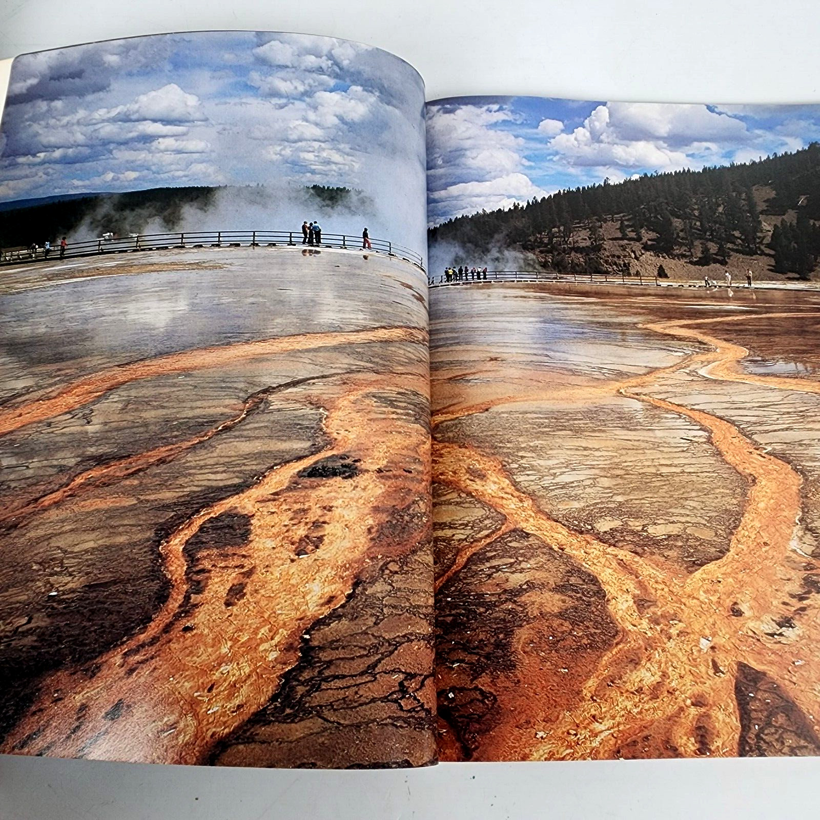 Yellowstone Grand Old Park Book Adam Randolph Collings Illustrated Photos .