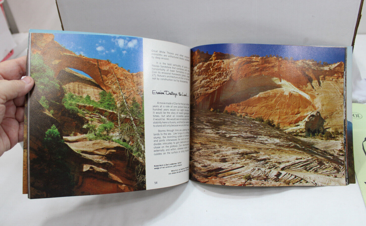 THIS IS ZION BY ALLEN HAGOOD WEEPING ROCK A SPRING OF LIFE