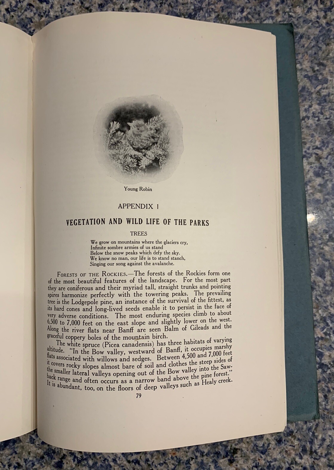 Through the heart of the Rockies and Selkirks – Canada’s National Parks 1924