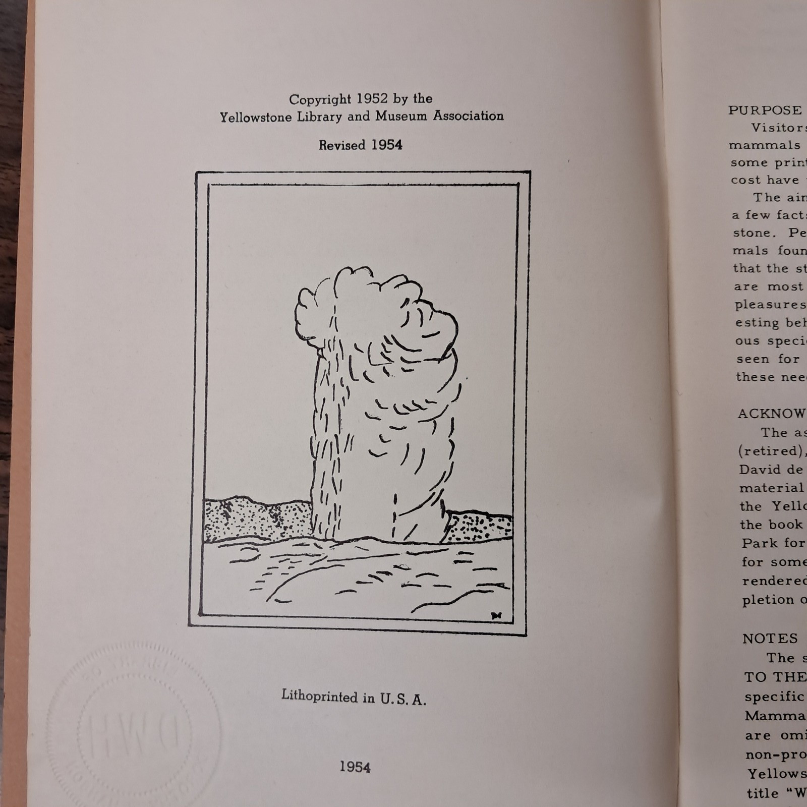 1954 Wild Animals Of Yellowstone National Park From Library Of Dorothy Hanson